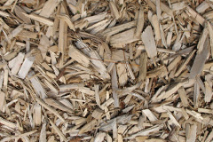 biomass boilers Topleigh